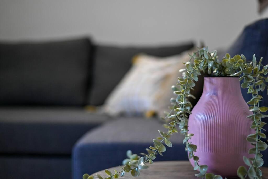 Costa di MezzateHappy Houseアパートメント エクステリア 写真